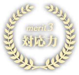merit3 対応力